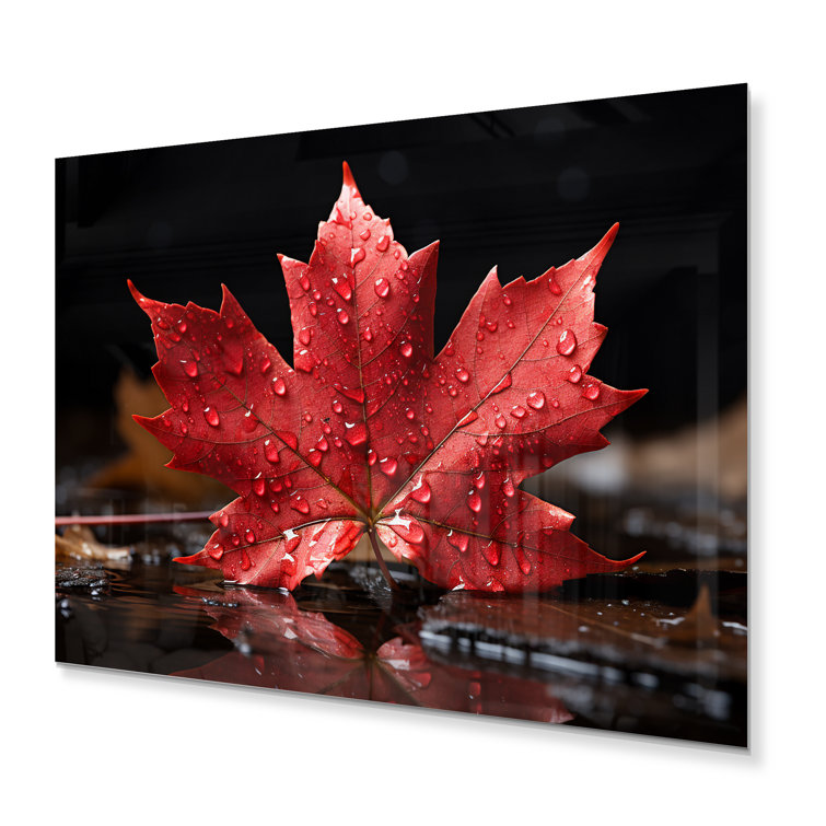Latitude Run® Canada Canadian Pride III Canada Metal Wall Decor Wayfair Canada
